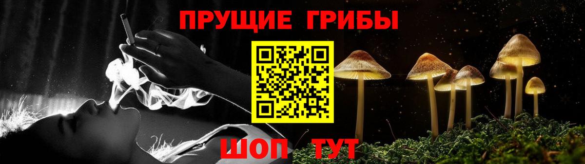 Псилоцибиновые грибы ЛСД  Вход с VPN  Дивногорск 